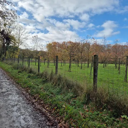 De Arnaud A * Gerpinnes