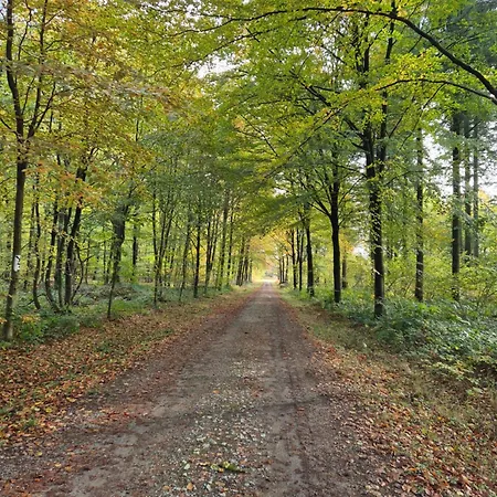 De Arnaud A * Gerpinnes