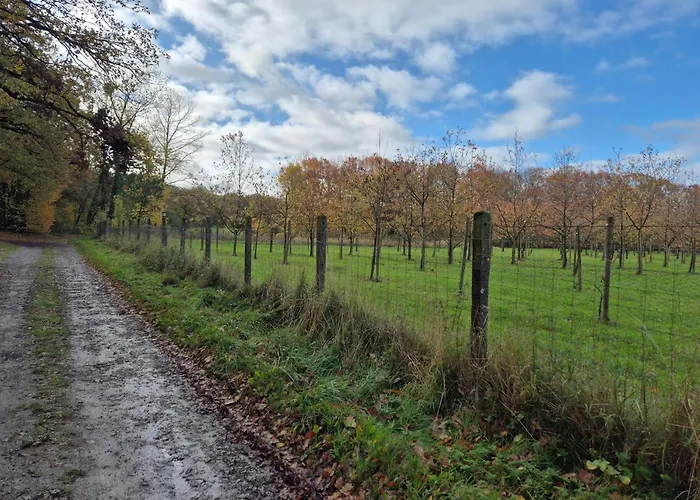 De Arnaud A * Gerpinnes