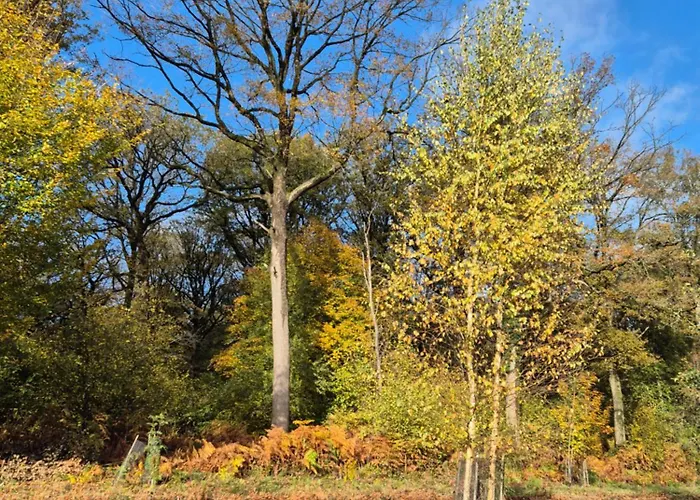 De Arnaud à Maison d'hôtes Gerpinnes