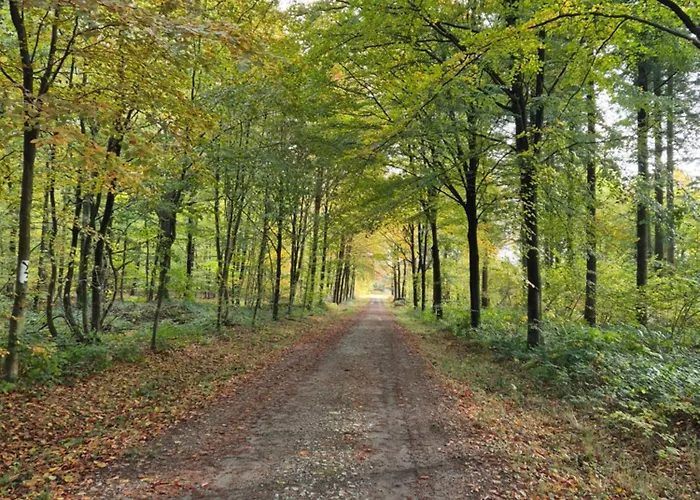 De Arnaud A * Gerpinnes