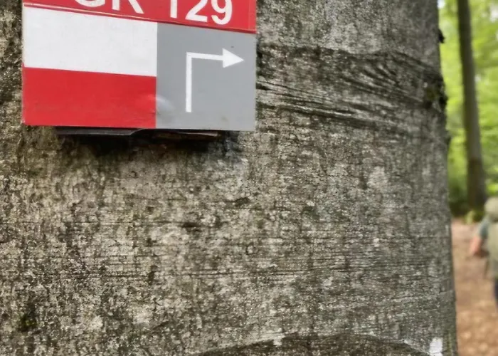 De Arnaud A 招待所 *